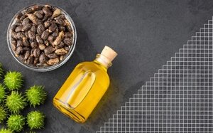 植物由来のバイオマスプラメッシュ