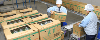 株式会社村上農園 山梨北杜生産センター